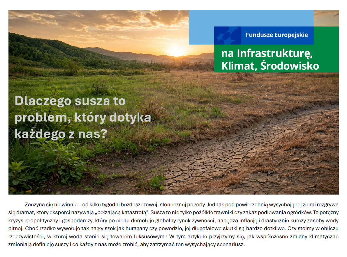 Zrzut_ekranu_2026-08-25_150457