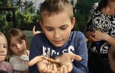 W Młodzawach realizują kolejne projekty edukacyjne 17