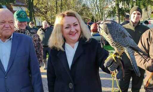 Zdjęcie do Sokolnicy w Pińczowie