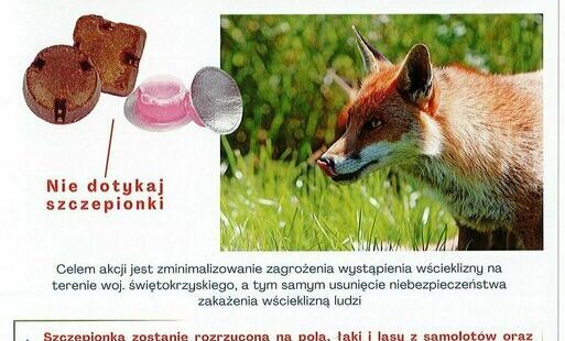 Zdjęcie do Komunikat Wojew&oacute;dzkiegi Inspektora Lekarza Weterynarii